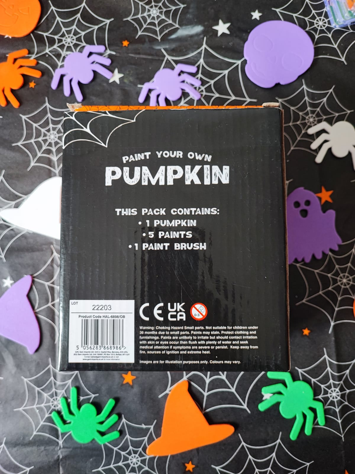 Paint Your Own Pumpkin